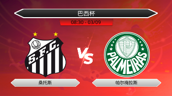 巴西杯 - 桑托斯 vs 帕尔梅拉斯